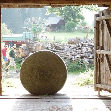 Urlaub Am Bio-Bauernhof Liebchen Βίλα Zeutschach Εξωτερικό φωτογραφία