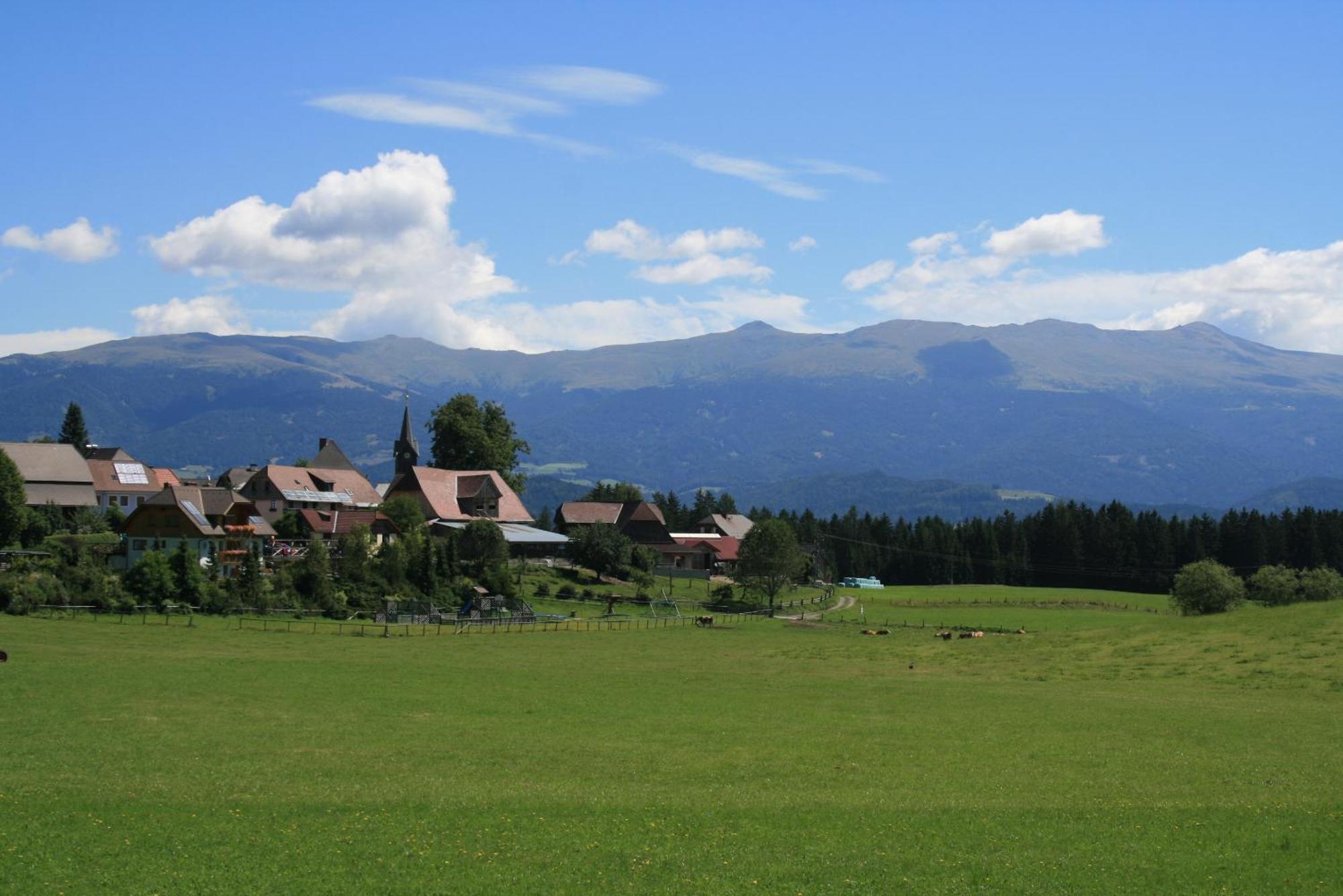 Urlaub Am Bio-Bauernhof Liebchen Βίλα Zeutschach Εξωτερικό φωτογραφία